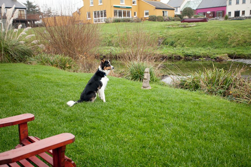 Aille River Tourist And Doolin