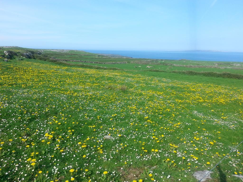 Hostal Aille River Tourist And Doolin